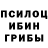 Псилоцибиновые грибы Magic Shrooms Benjamin Necolas