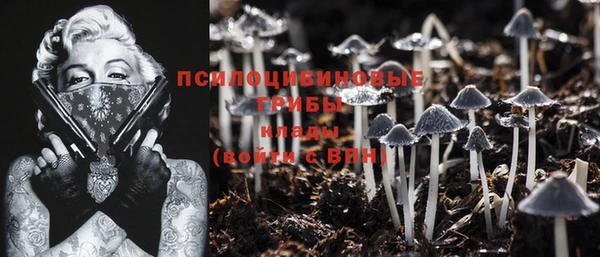 ПСИЛОЦИБИНОВЫЕ ГРИБЫ Белоозёрский