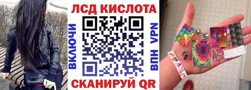 KRAKEN   Бородино  Марки 25I-NBOMe 1,5мг 