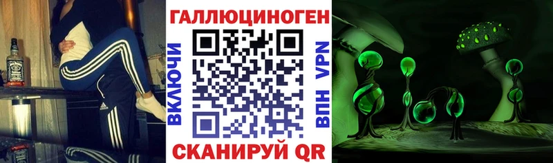 Галлюциногенные грибы ЛСД  Бородино 